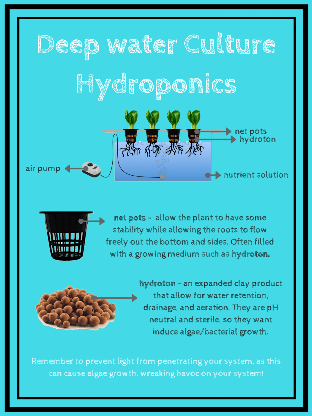 DIY deep water culture hydroponic system - THE HOMESTUD