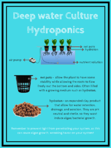 Hydroponic systems: What are they and how do they work? - THE HOMESTUD