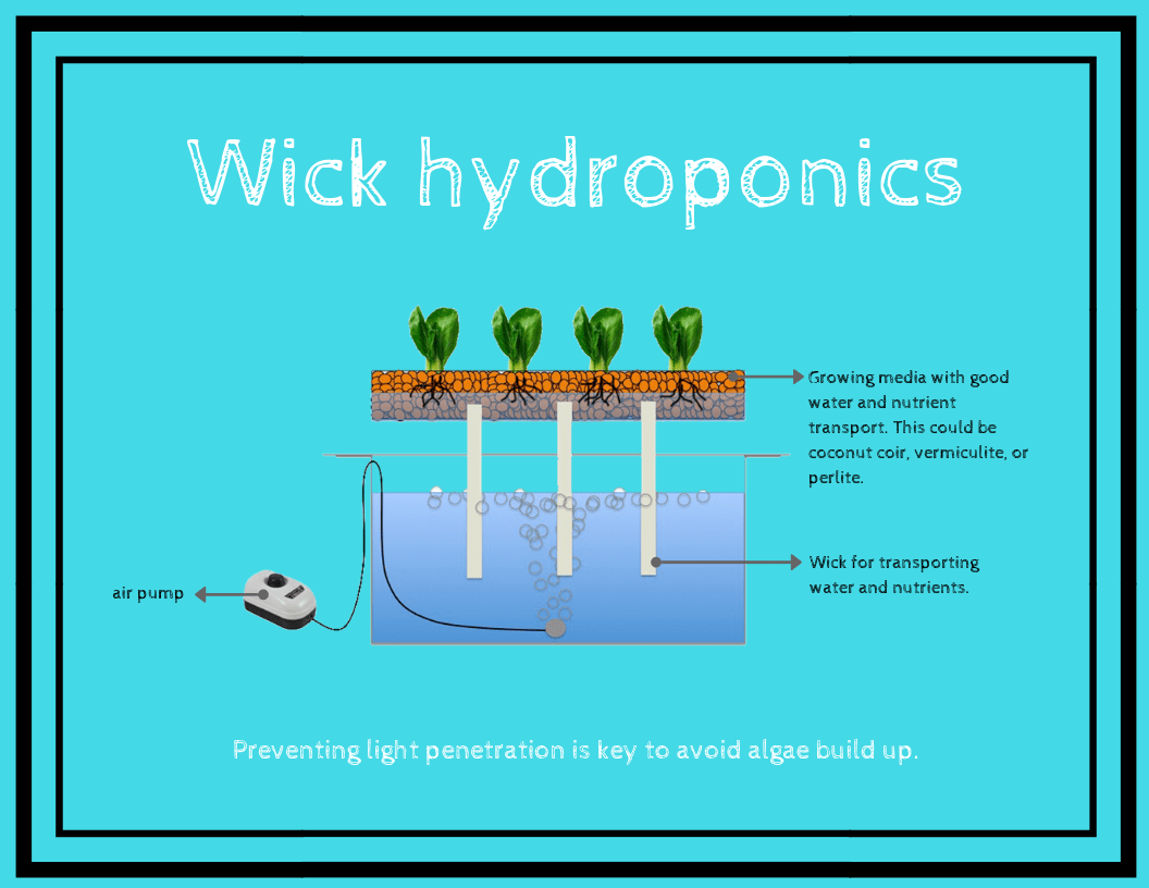 What Is Wick Hydroponics? - NoSoilSolutions
